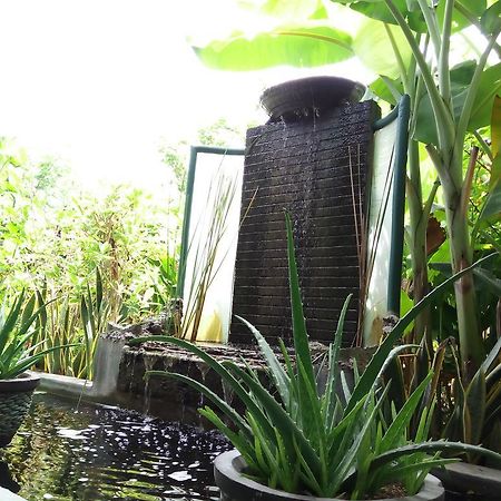 Pemuteran Jassri Homestay מראה חיצוני תמונה