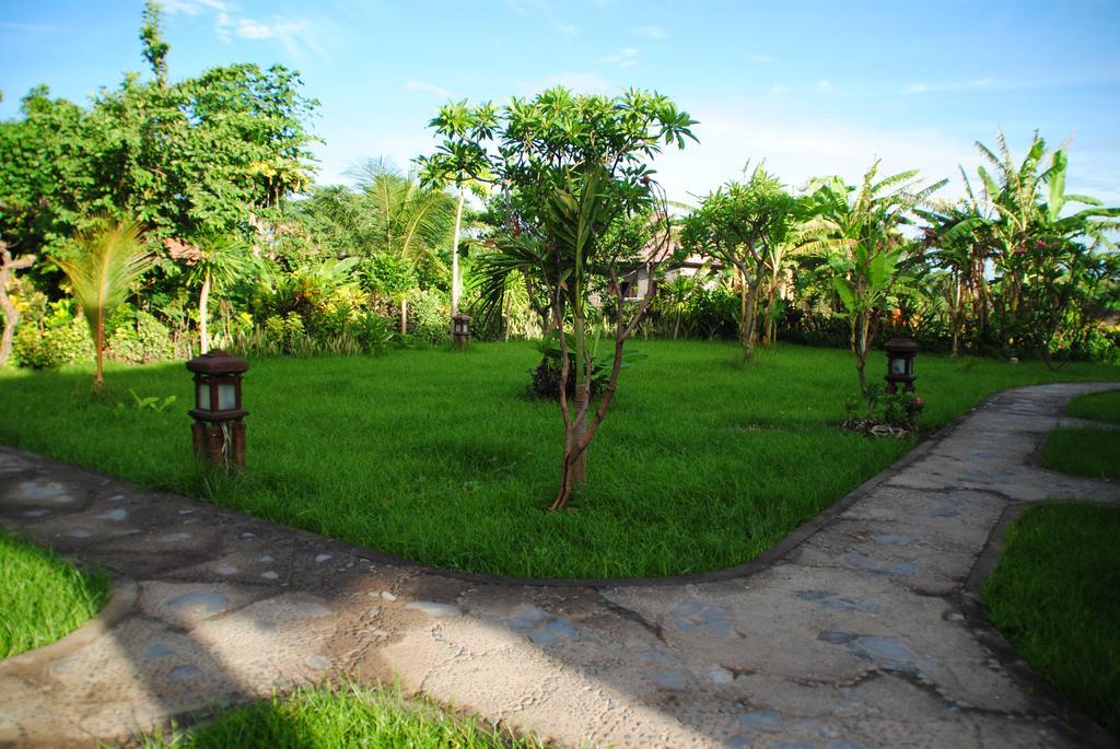 Pemuteran Jassri Homestay חדר תמונה