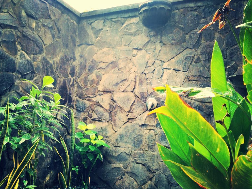 Pemuteran Jassri Homestay מראה חיצוני תמונה
