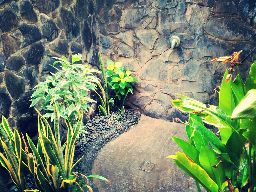 Pemuteran Jassri Homestay מראה חיצוני תמונה