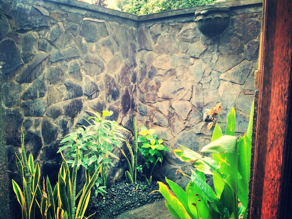 Pemuteran Jassri Homestay מראה חיצוני תמונה