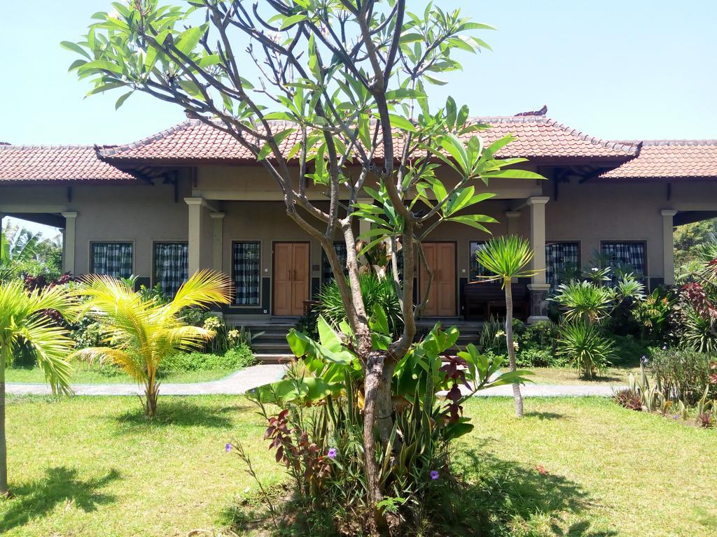 Pemuteran Jassri Homestay מראה חיצוני תמונה