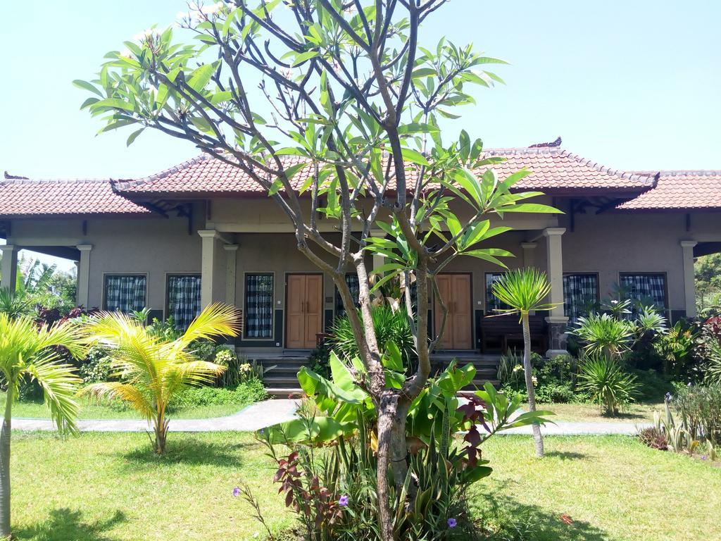 Pemuteran Jassri Homestay מראה חיצוני תמונה