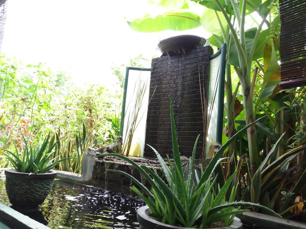 Pemuteran Jassri Homestay מראה חיצוני תמונה