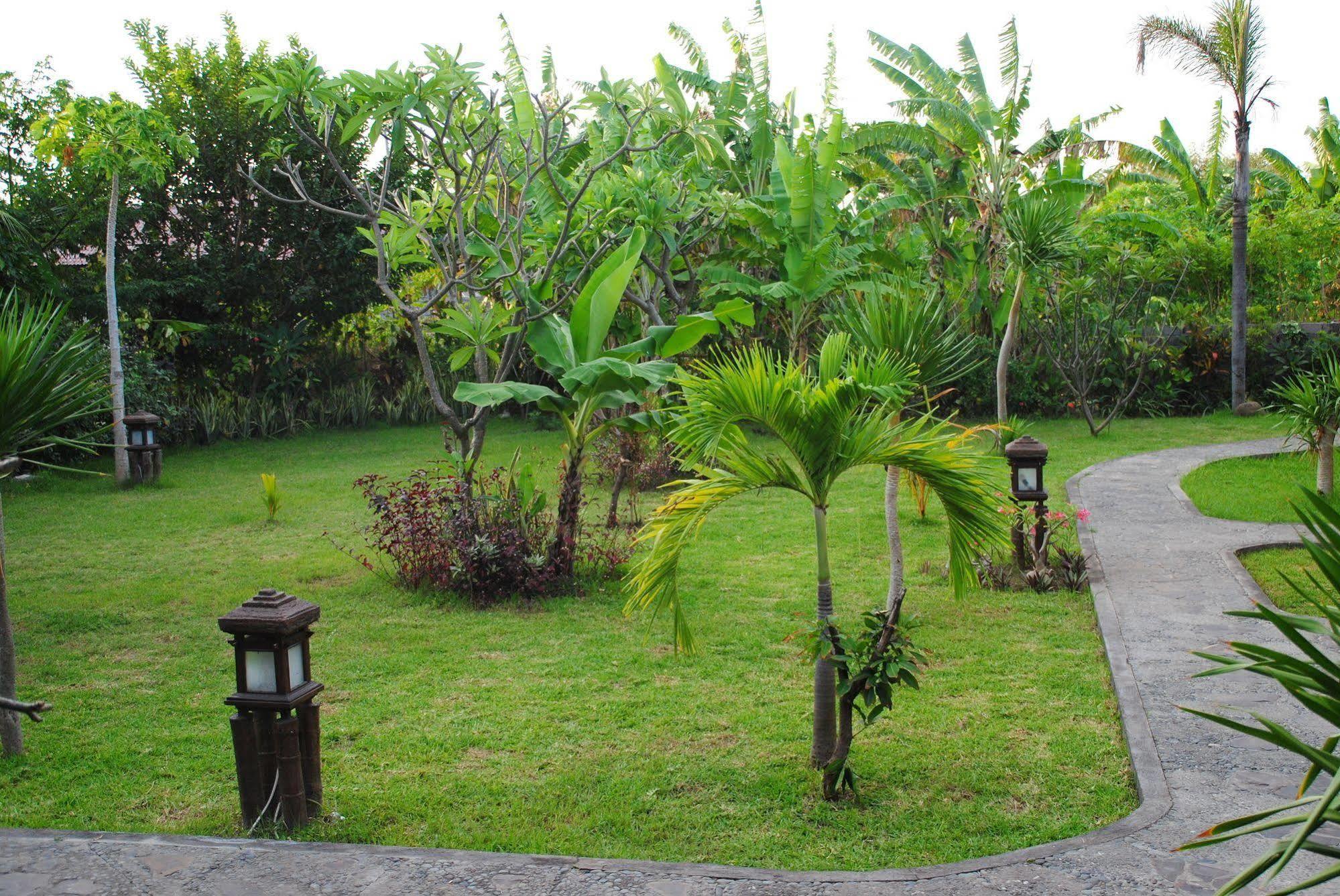 Pemuteran Jassri Homestay מראה חיצוני תמונה